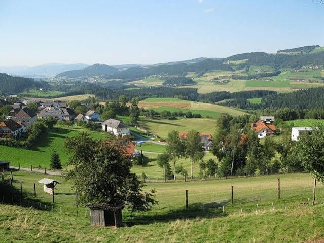 Landgasthof Diendorfer Ξενοδοχείο Haslach an der Mühl Εξωτερικό φωτογραφία