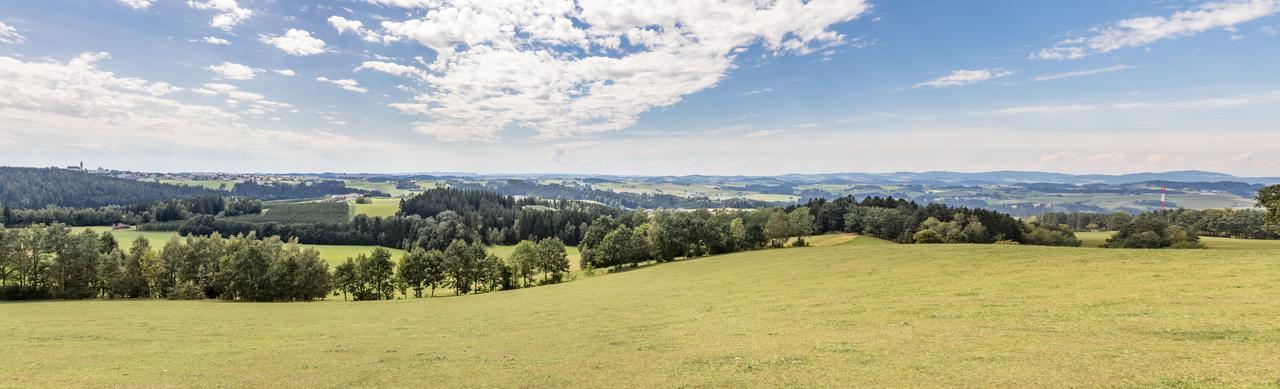 Landgasthof Diendorfer Ξενοδοχείο Haslach an der Mühl Εξωτερικό φωτογραφία